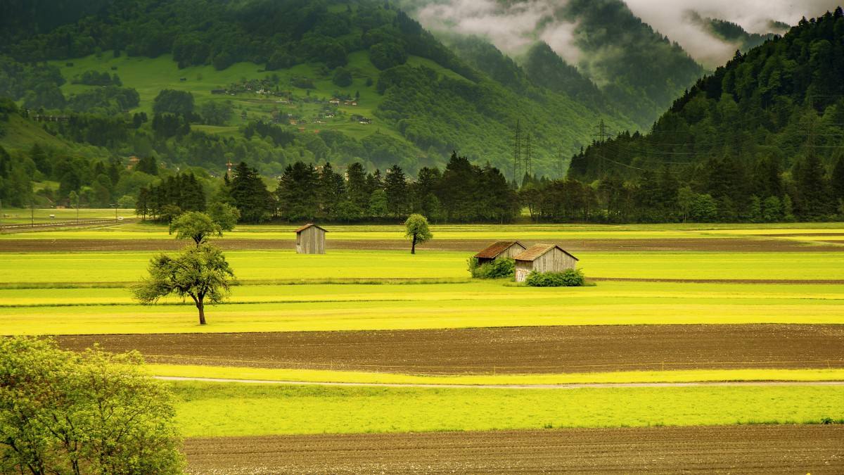 企业可以怎样使用EcoVadis奖牌和证书