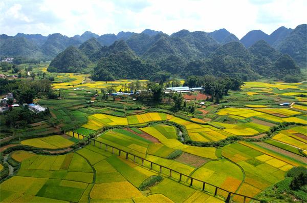 ECOVADIS评估分数如何表示企业社会责任成熟度