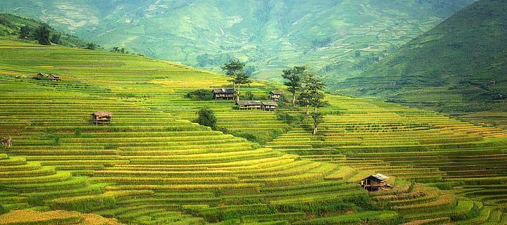 ecovadis验厂对企业采购计划指标百分比规范要求