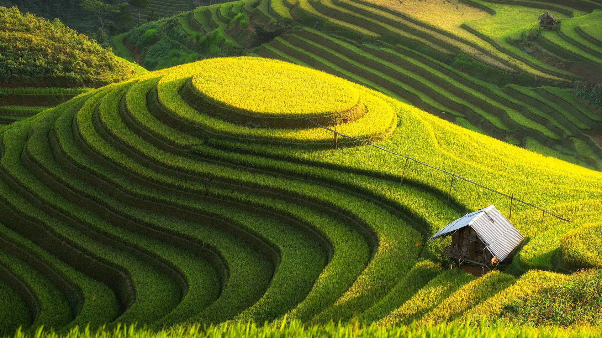 EcoVadis评估审核范围一般如何确定