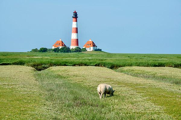 企业提交完EcoVadis问卷后多久才能收到审核结果