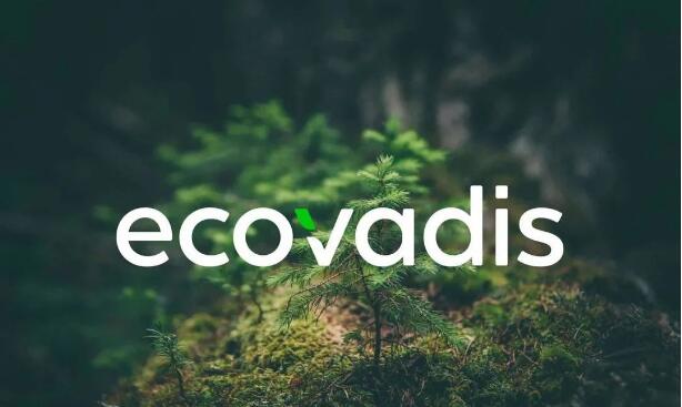 EcoVadis社会责任评级对企业申请范围包括基本清单