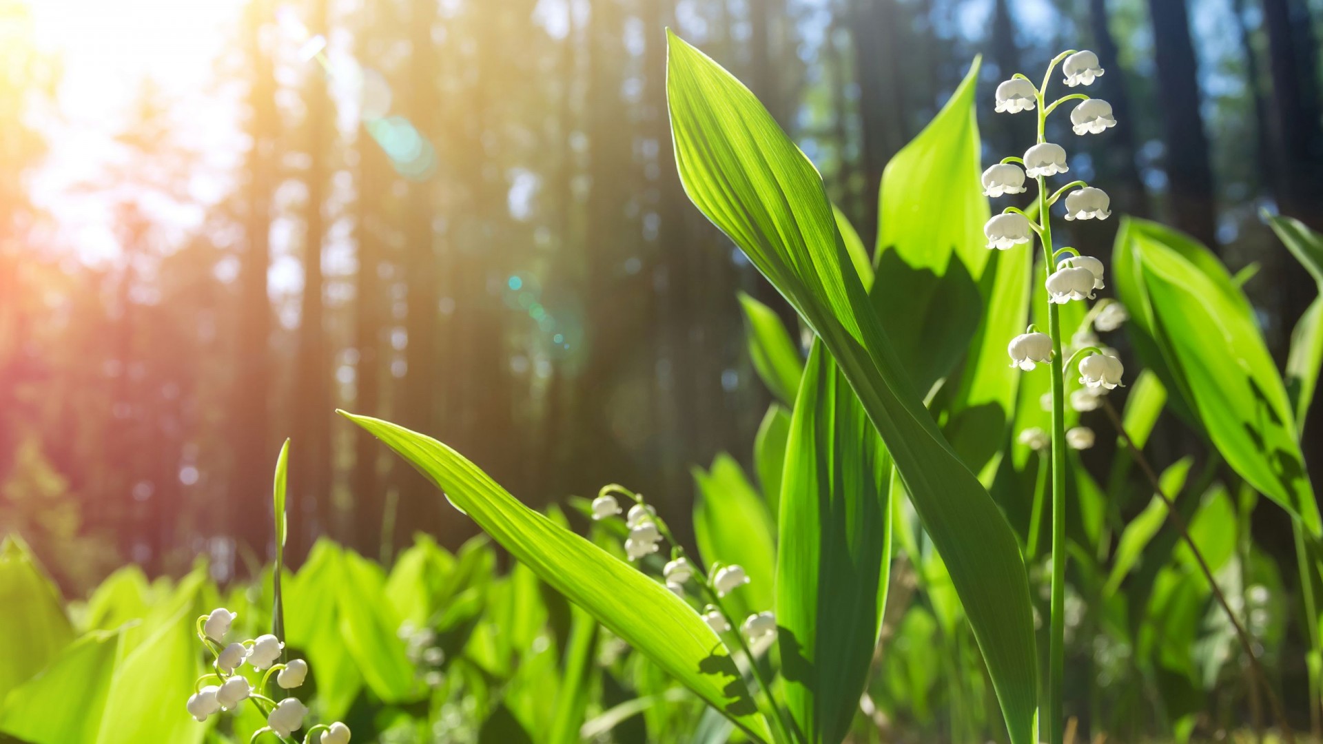 EcoVadis如何鉴定有效的企业社会责任CSR管理体系
