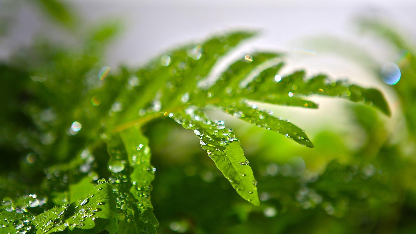 EcoVadis企业社会责任验证平台 EcoVadis认证有审核公司吗
