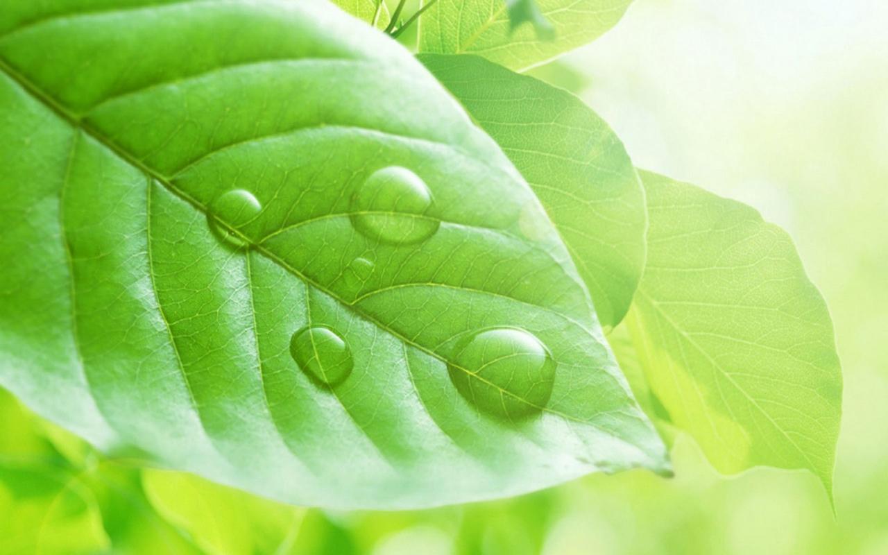 EcoVadis评估标准内容涵盖 Ecovadis审核之文件指南