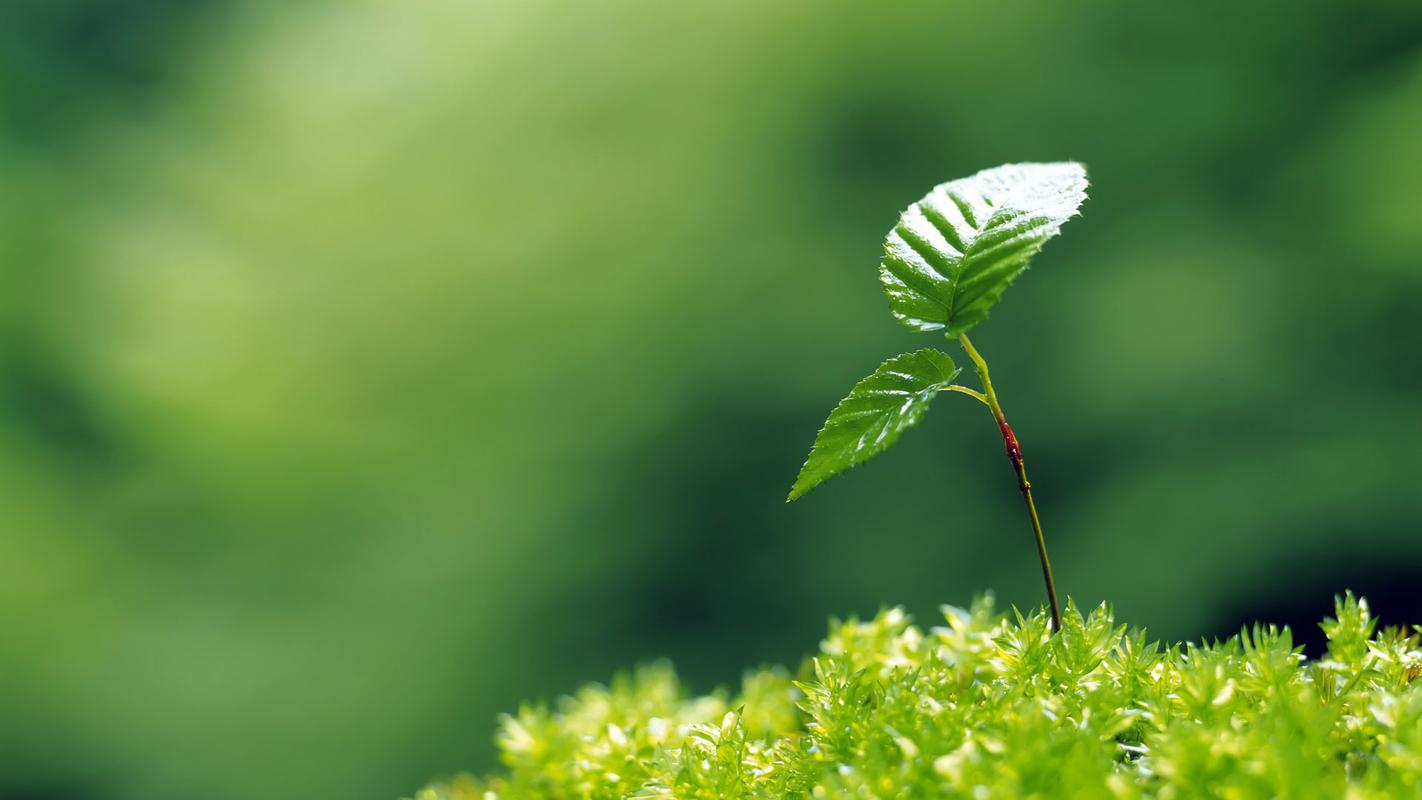 EcoVadis认证管理体系要素组成 EcoVadis评估内容涵盖标准