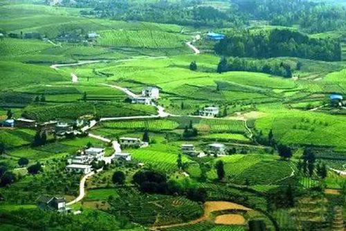 EcoVadis温室气体排放数据要求 完成EcoVadis的碳评估步骤